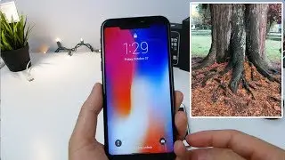 iPhone X vs iPhone 8 Camera Test! Not What you Expected...