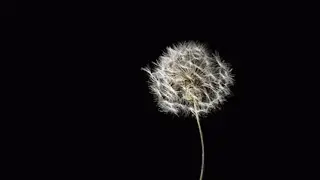 abhi abhi (slowed + reverbed)
