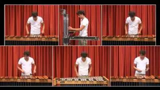 Lord of the Rings Medley on Marimba