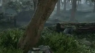 War Crime? | Modded Days Gone