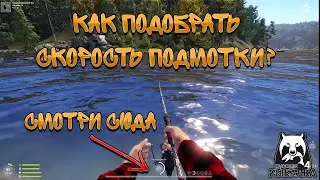 HOW TO CHOOSE THE RETAINING SPEED? / RUSSIAN FISHING 4