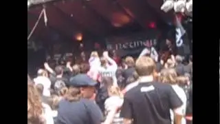 Die Streuner - Söldnerschwein