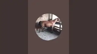 ЧУПОН ТЖ в прямом эфире!