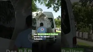 Damals & Heute: Bärin Suzana | VIER PFOTEN