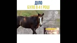 Діло було в 41 році