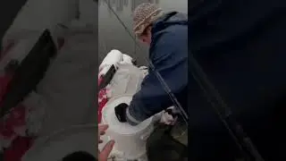 Закончили сезон 👋