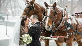 Winter Wonderland Wedding with Horse and Carriage and Snowfa