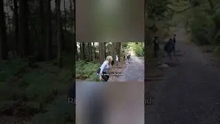 jaja