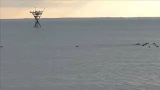 Керчь, берег, пляж на Институте 17 12 23