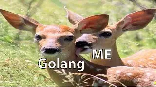 Golang API Server Optimizations - Streamerverse