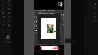 Magic of Generative Fill in Photoshop Beta Version