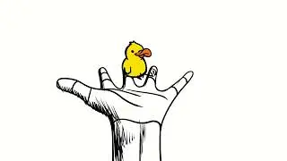 Polish Duck