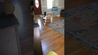 Busted!! 