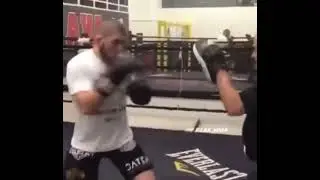 Khabib Starts Training For Mayweather Fight