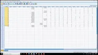 Double Data Entry, compare datasets ,