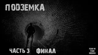 ПОДЗЕМКА. ФИНАЛ. УЖАСЫ. МИСТИКА. СТРАШНЫЕ ИСТОРИИ. ХОРРОР. АУДИОКНИГА.