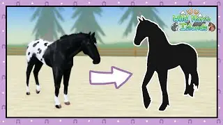 The Black Blanket Friesian is so Pretty! - Roblox Wild Horse Islands