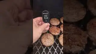 Kitchen Aid Thermometer... Backlit should stay on longer... 