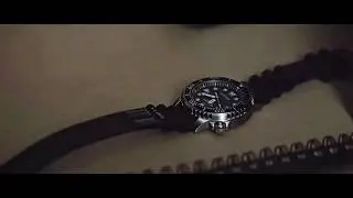 PROMASTER Professional Diver