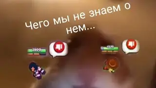 Чего мы не знаем о... хомяке?