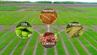 Имиджевый ролик АО "Артель"