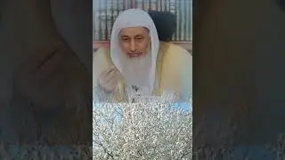 Шейх не дал договорить про Маму...