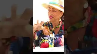 Rescate de gatitas: La historia de Lola y Yema en México