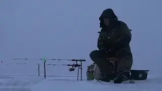 ловим корюшку сидя. Зеленогорск. Рыбалка 22.02.24.