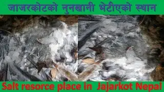 नुन खानि जाजरकाेट,Salt resorce on jajarkot nepal,बारेकाेटबासि,यश बिषयमा स्थानियकाे भनाई