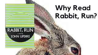 Why Read Rabbit, Run? Review & Analysis