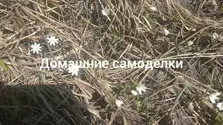 В делянке