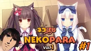 NEKOPARA Vol. 1 (DEMO) -  Part 1 - The New face of Visual Novels is here!