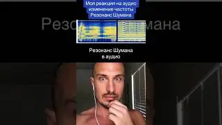 Реакция на аудио Резонанс Шумана