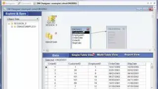 dmAssist Data Pane on the Bottom Right