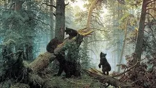 В музей - без поводка / Иван Шишкин 