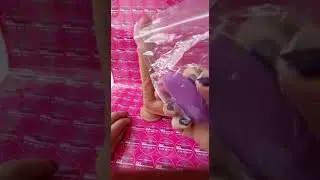 Dildo Consolador Vibrador con Control Remoto