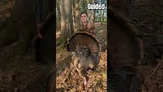 2023 turkey hunting season recap #viral #hunting #turkeyhunting #turkey #huntingseason #turkeycall