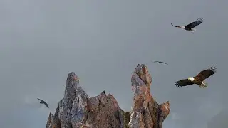 Ялта, 4 октября 2024 года