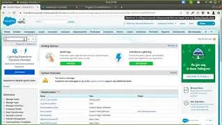 Session 6  Introduction to Apex Triggers, Events and Context Variables