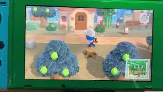 My daily of ACNH (3/3)