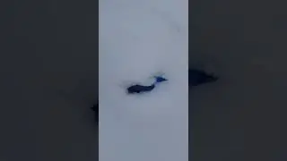 солнышко начинает греть  . 