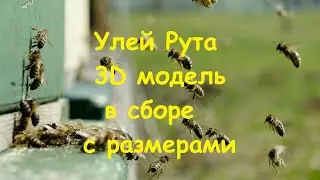 3Д модель  улья в сборе