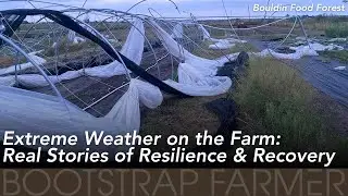When Disaster Strikes: Real Stories of Farm Resilience & Recovery