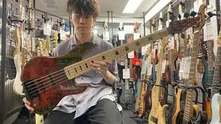 D'mark Guitars / Jbx8 Exotic Buckeye【Test Play】