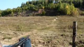 отстрел пуль тандэм самозаряд