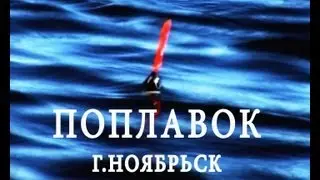 ПОПЛАВОК г.Ноябрьск