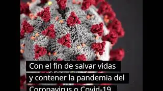 Crisis Covid-19 | La transparencia importa más que nunca
