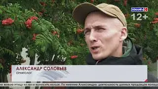 Выпуск от 13.08.2024