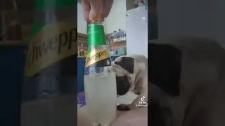 28 ноября 2021 г.
