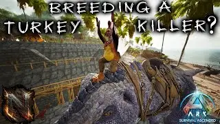 Breeding A Turkey Killer?  [The Island Ep11]
